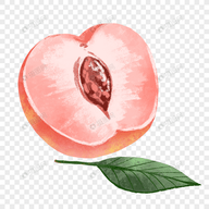 蓝莓tvAPPAPP应用