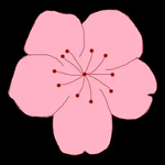 WWW,862se·COM网站APP最新版