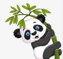 老司机看片APP应用